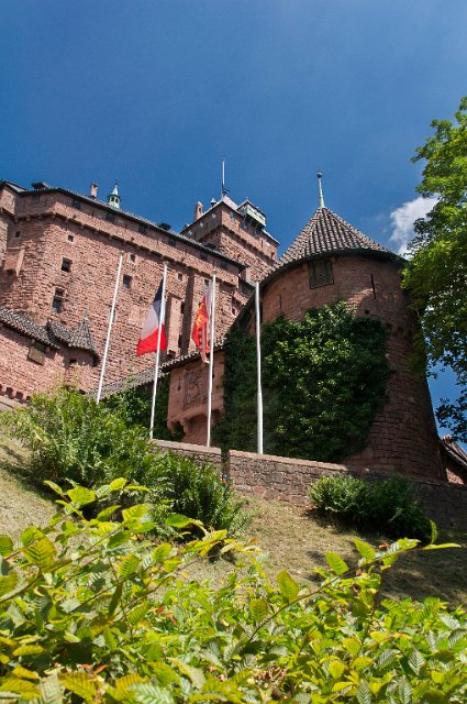 0260Chtau du Ht Koenigsbourg.jpg - SONY DSC
